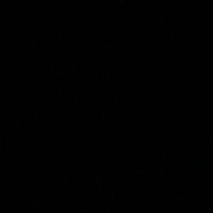 Meet your Posher, Bailey